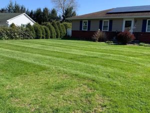 skeets-landscaping-ulster-county-ny-0002