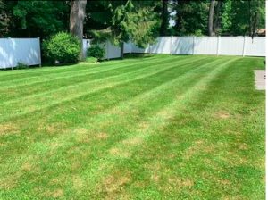 skeets-landscaping-ulster-county-ny-0008