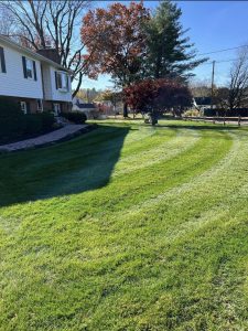skeets-landscaping-ulster-county-ny-0010