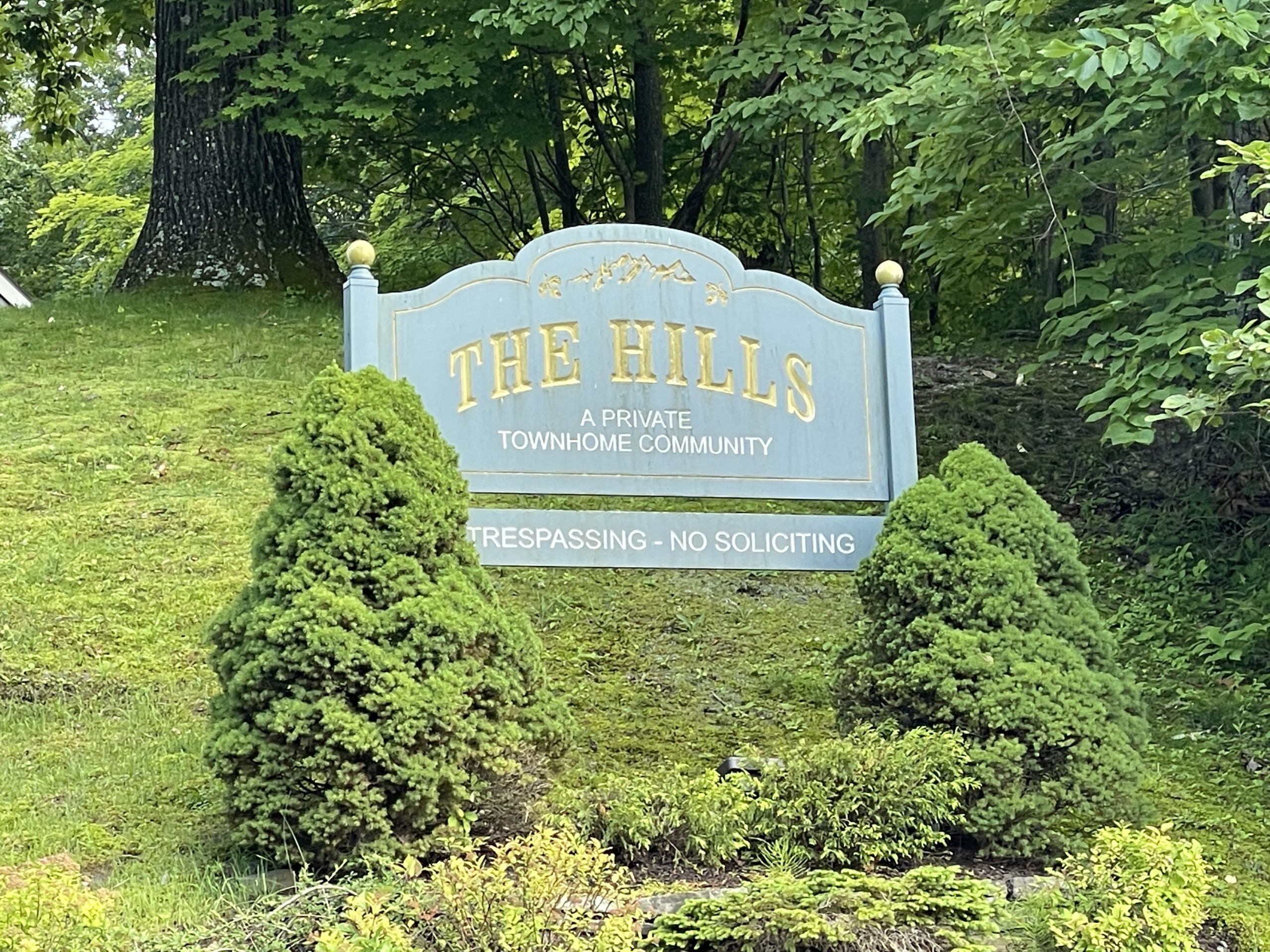 the-hills-scaled.jpg